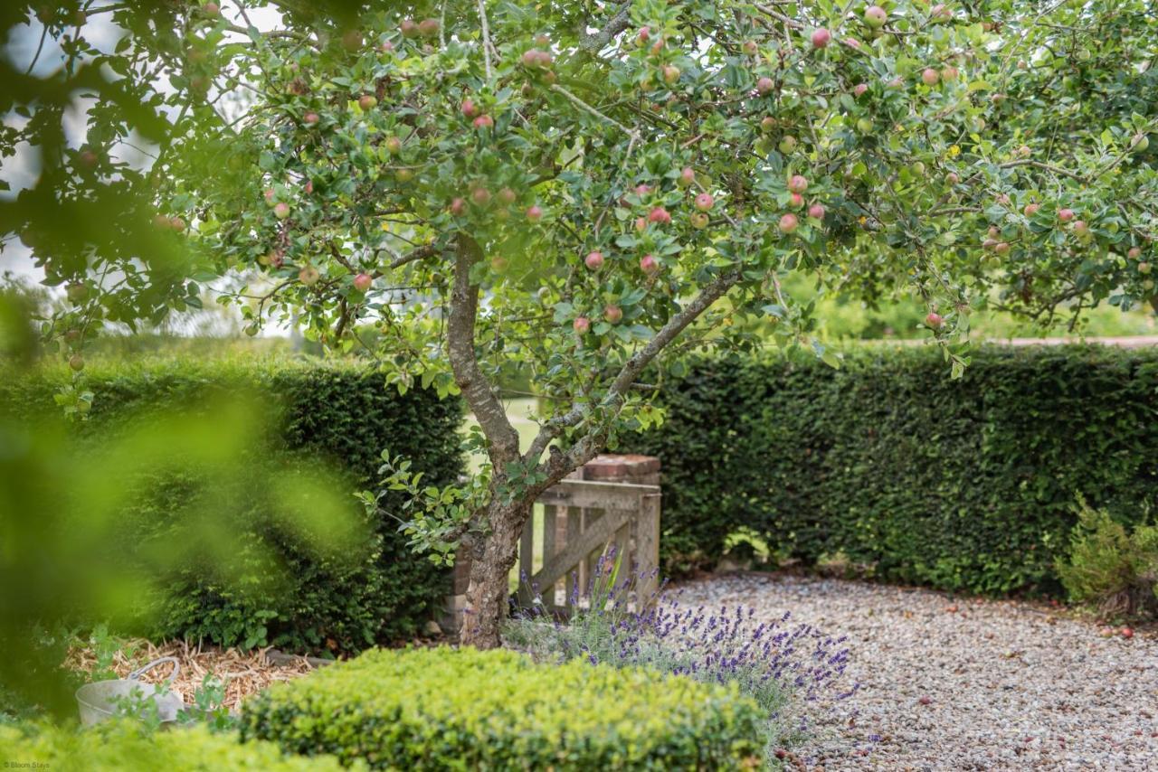 The Figgy By Bloom Stays Ashford  Esterno foto